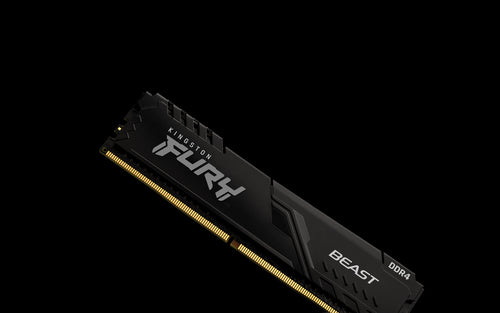 Kingston Technology FURY Beast memory module