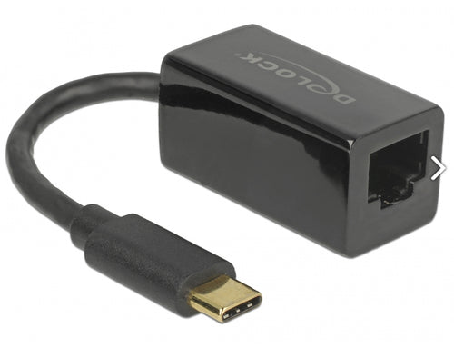 DeLOCK 65904 laptop dock/port replicator