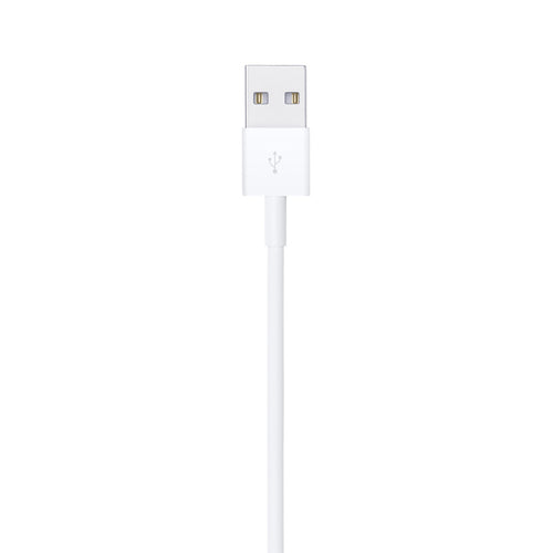 1m Lightning to USB A Cable White Apple