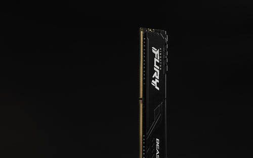 Kingston Technology FURY Beast memory module
