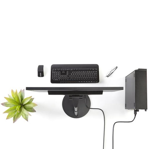 StarTech.com DP2DVI2MM6 video cable adapter