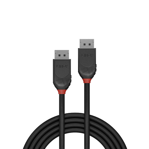 Lindy 36490 DisplayPort cable