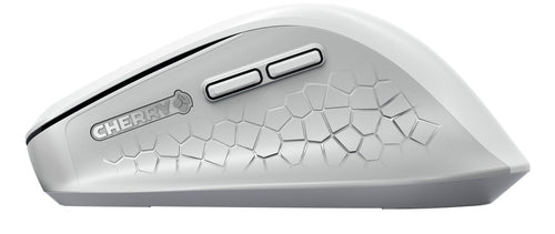 CHERRY JW-8550-0 mouse