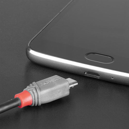 Lindy 36890 USB cable