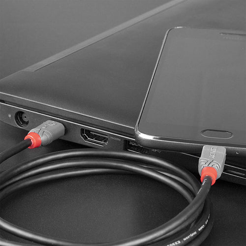 Lindy 36890 USB cable