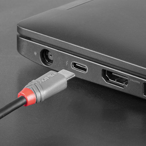 Lindy 36890 USB cable