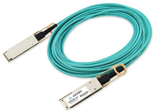 Axiom AOC-Q-Q-100G-1M-AX InfiniBand/fibre optic cable