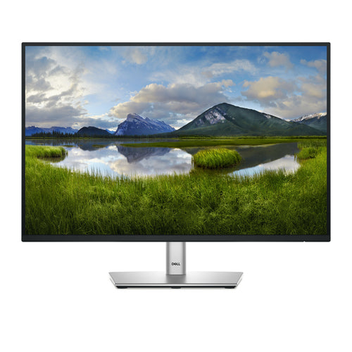 DELL Pro Plus P2425 Computermonitor