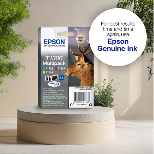 Epson Stag T1303 ink cartridge