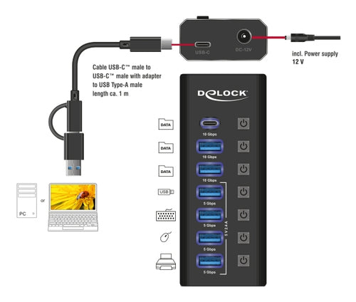 DeLOCK 64326 interface hub