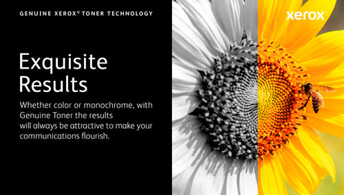 Xerox 006R04680 Yellow Toner Cartridge - 2000 Page Yield for C410/C415 Printers