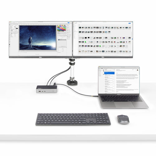 StarTech.com 50C-40G-USB4-CABLE USB cable