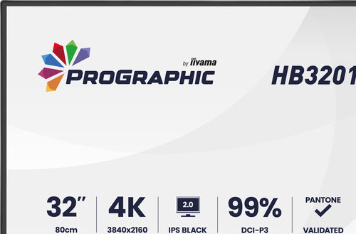 iiyama ProGraphic HB3201UHSNP-B1 computer monitor