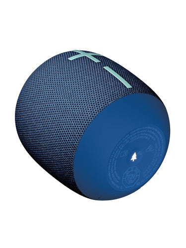 Ultimate Ears WONDERBOOM 4