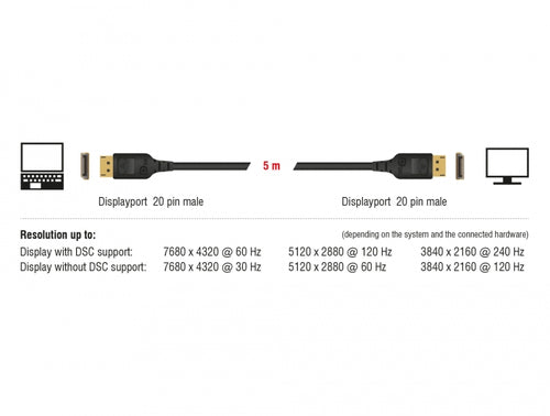 DeLOCK 85658 DisplayPort cable