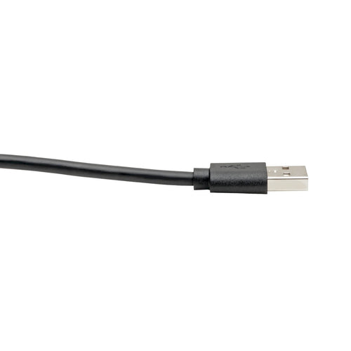 Tripp Lite U038-C13 USB cable