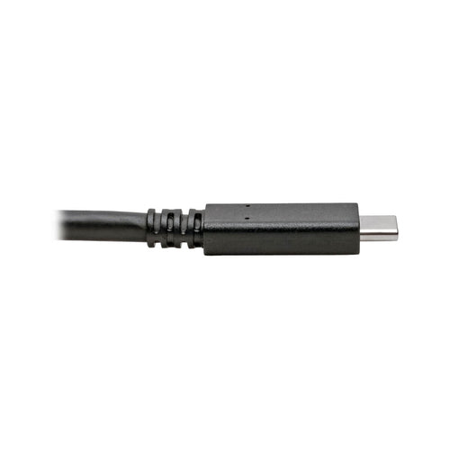 Tripp Lite U420-C06 USB cable