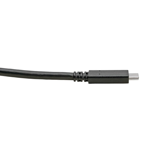 Tripp Lite U420-006 USB cable