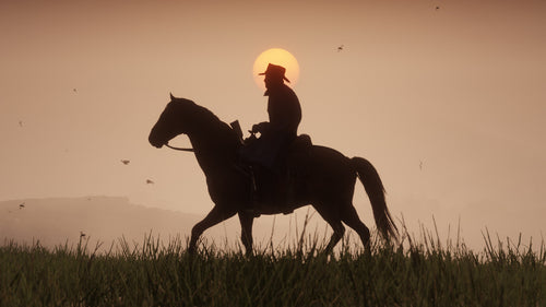 Microsoft Red Dead Redemption 2