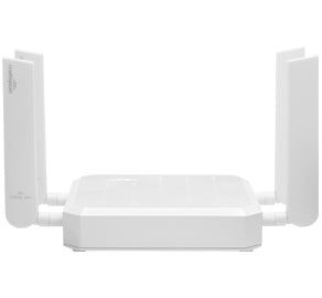 Cradlepoint BE03-1850-5GC-GM wireless router