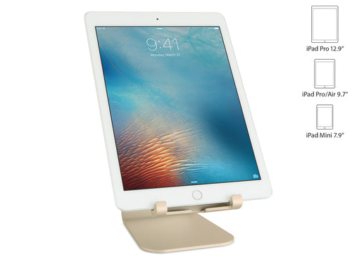 Rain Design mStand tablet