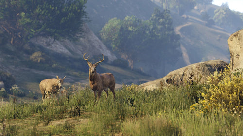 Microsoft Grand Theft Auto V: Premium Online Edition