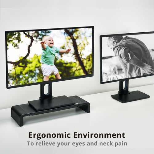 Siig CE-MT2P12-S1 monitor mount / stand