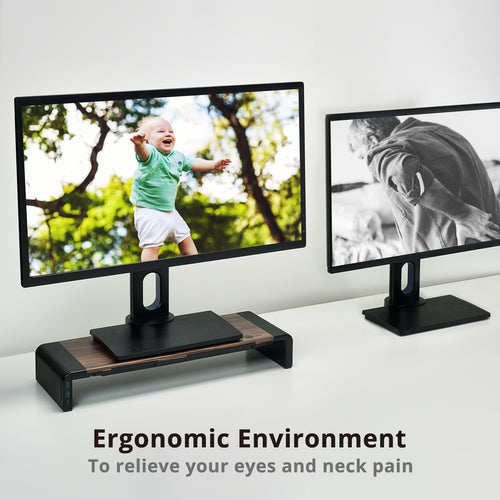 Siig CE-MT2Q12-S1 monitor mount / stand