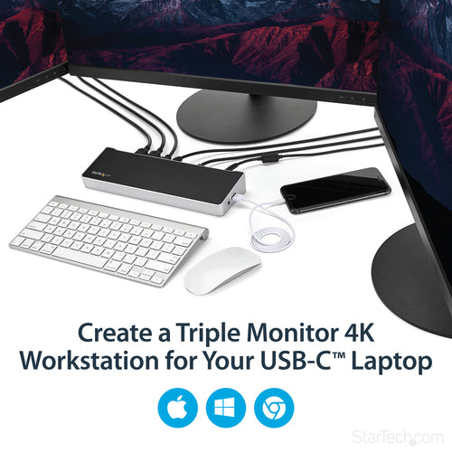 StarTech.com DK30CH2DEP laptop dock/port replicator