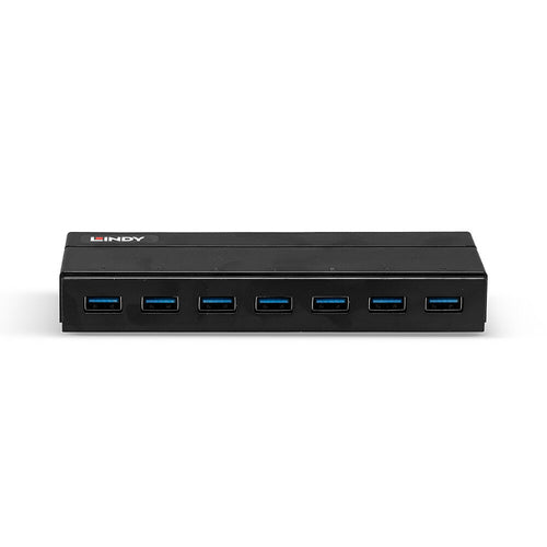 Lindy 43228 interface hub