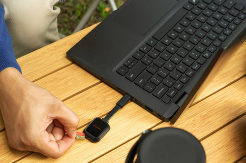 SanDisk Extreme GO