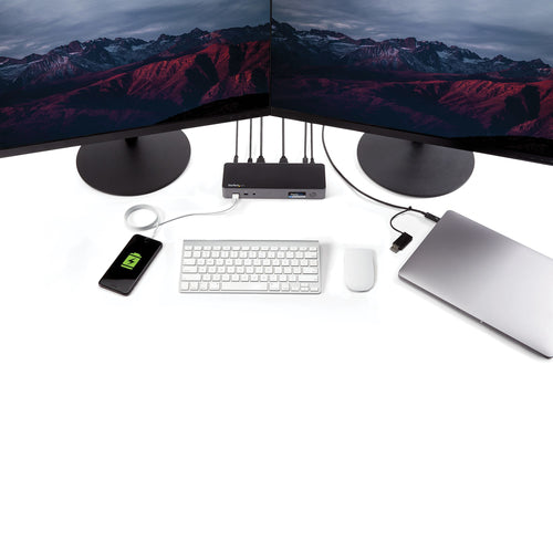 StarTech.com DK30C2DPPDUE laptop dock/port replicator