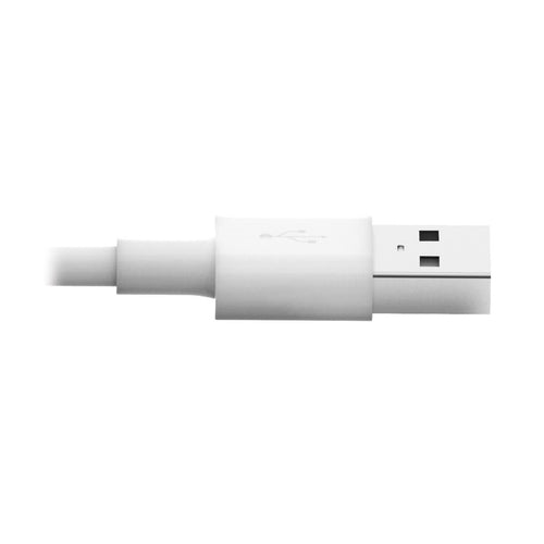 Tripp Lite M100-006-WH lightning cable