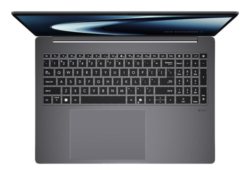 ASUS ExpertBook P3 PM3606CKA-XS54
