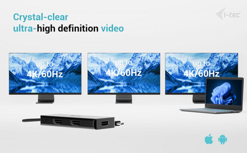 i-tec C31TRIPLE4KHDMIPD video cable adapter