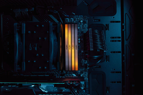 Kingston Technology FURY Renegade RGB memory module