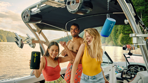 Ultimate Ears 984-001872 portable/party speaker