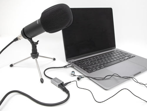 DeLOCK 67071 audio card