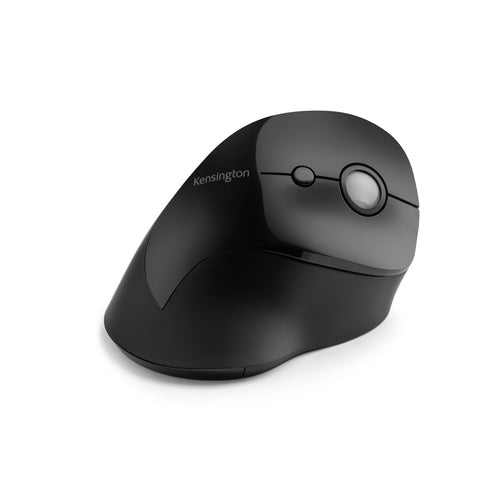 Kensington Pro Fit mouse