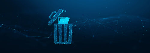 Kingston Technology IronKey D500S USB flash drive