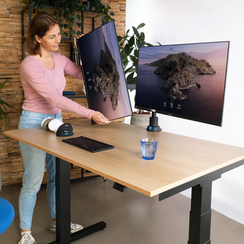 R-Go Tools RGOVLCA4TWSI monitor mount / stand