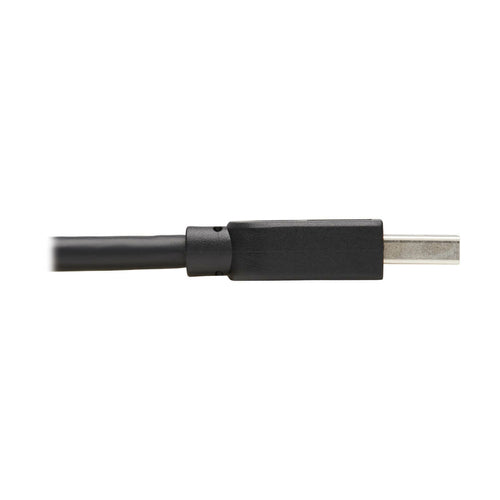 Tripp Lite U325-015 USB cable