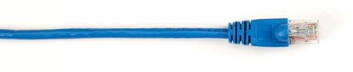 AddOn Networks ADD-16FCAT6-BE networking cable