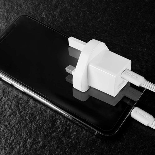 Lindy 73411 mobile device charger