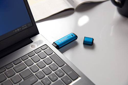 Kingston Technology IronKey Vault Privacy 50 USB-Stick