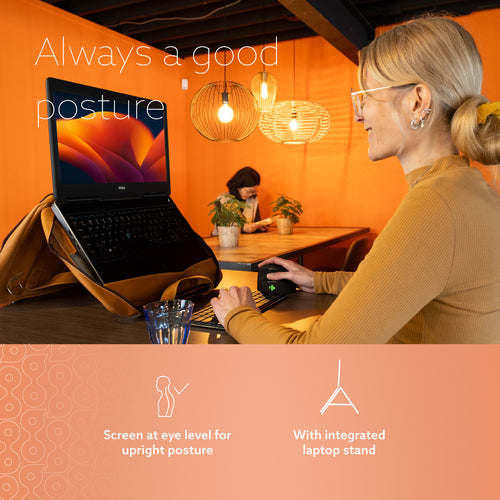 R-Go Tools RGOAVLAPBR laptop case