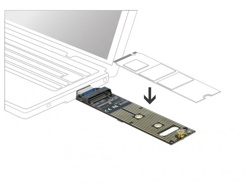 DeLOCK 64069 interface cards/adapter