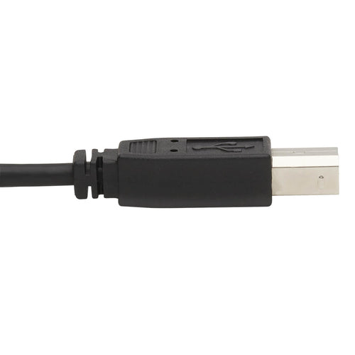 KVM Cable Tripp Lite P783-006-DP Dual DisplayPort 4K 6ft USB Audio