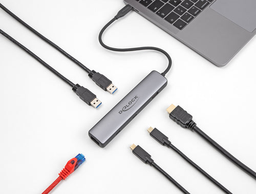 DeLOCK 87865 laptop dock/port replicator