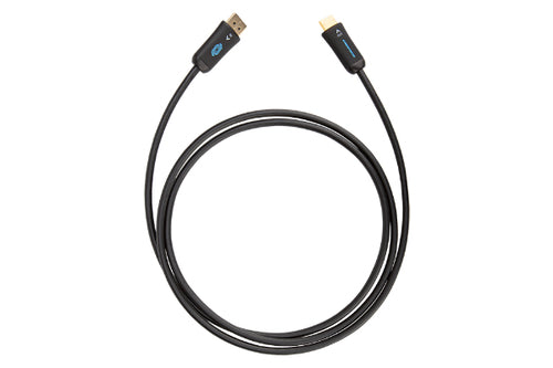 Crestron CBL-4K-DP-HD-6 cable gender changer
